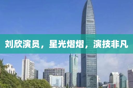 刘欣演员，星光熠熠，演技非凡