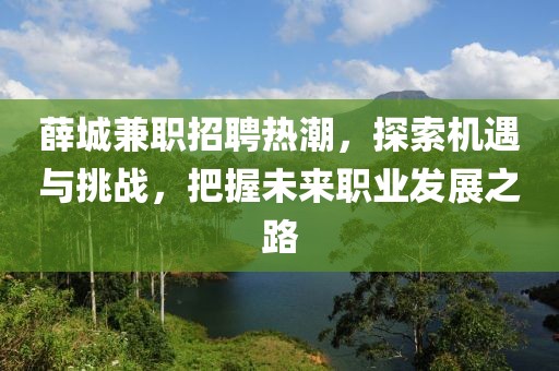 薛城兼职招聘热潮，探索机遇与挑战，把握未来职业发展之路
