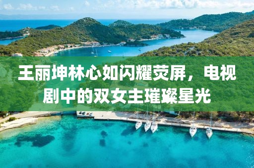 王丽坤林心如闪耀荧屏，电视剧中的双女主璀璨星光
