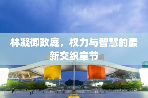 林凝御政庭，权力与智慧的最新交织章节