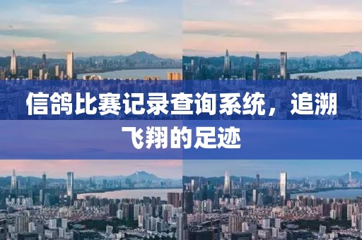 信鸽比赛记录查询系统，追溯飞翔的足迹