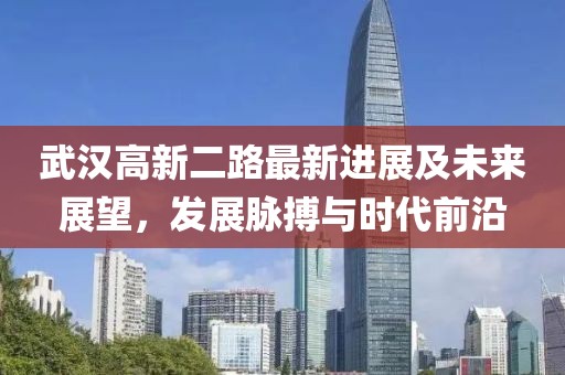 武汉高新二路最新进展及未来展望，发展脉搏与时代前沿