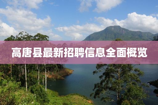 高唐县最新招聘信息全面概览