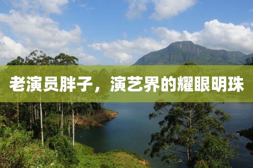 老演员胖子，演艺界的耀眼明珠