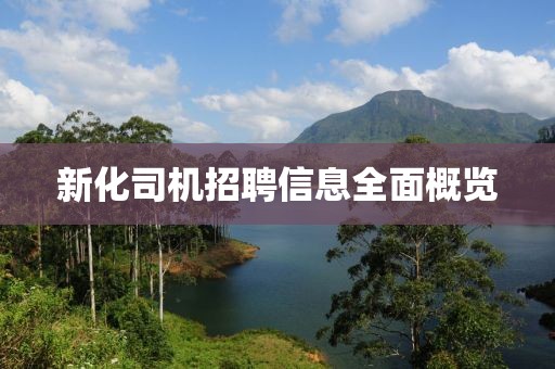 新化司机招聘信息全面概览