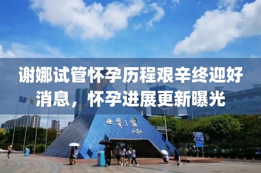 谢娜试管怀孕历程艰辛终迎好消息，怀孕进展更新曝光