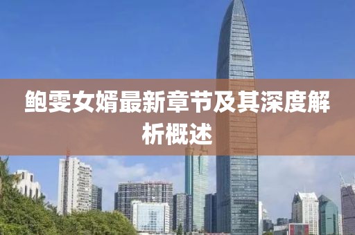 鲍雯女婿最新章节及其深度解析概述