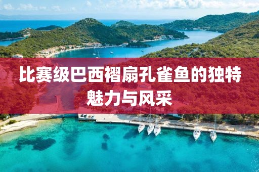 比赛级巴西褶扇孔雀鱼的独特魅力与风采