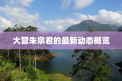大营朱宗君的最新动态概览