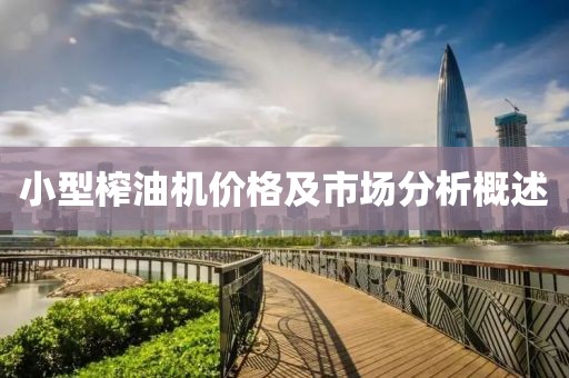 小型榨油机价格及市场分析概述