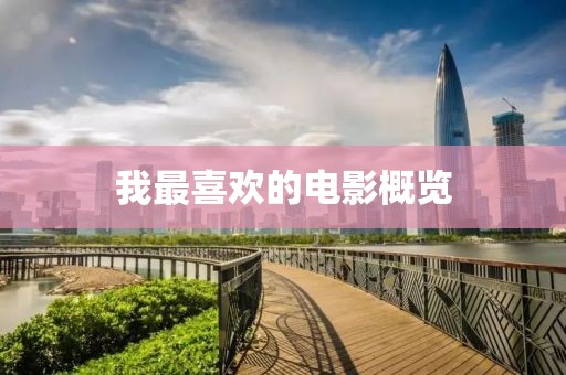 我最喜欢的电影概览
