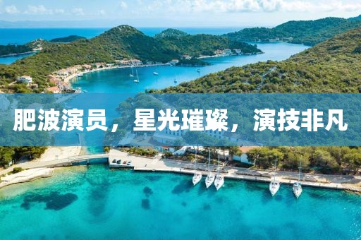 肥波演员，星光璀璨，演技非凡