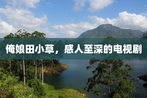 俺娘田小草，感人至深的电视剧