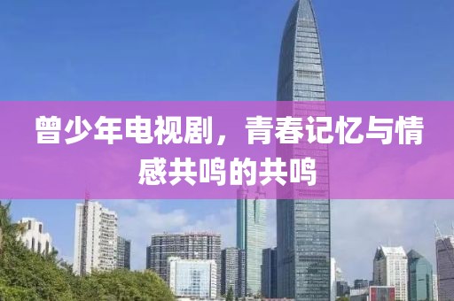 曾少年电视剧，青春记忆与情感共鸣的共鸣