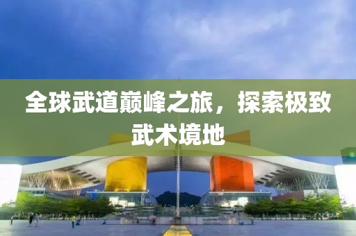 全球武道巅峰之旅，探索极致武术境地