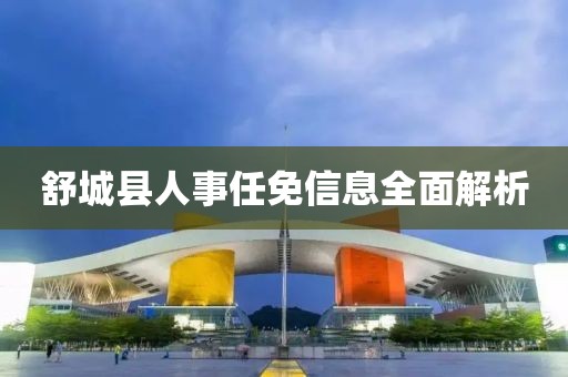 舒城县人事任免信息全面解析