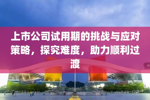 上市公司试用期的挑战与应对策略，探究难度，助力顺利过渡