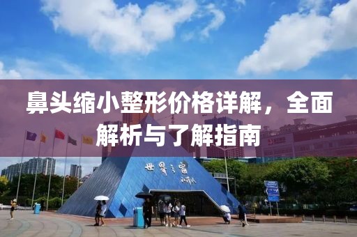 鼻头缩小整形价格详解，全面解析与了解指南