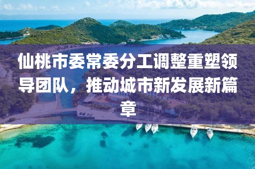 仙桃市委常委分工调整重塑领导团队，推动城市新发展新篇章