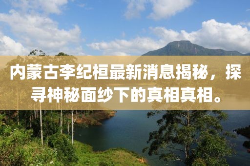菠萝草莓酱 第5页
