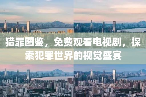 猎罪图鉴，免费观看电视剧，探索犯罪世界的视觉盛宴