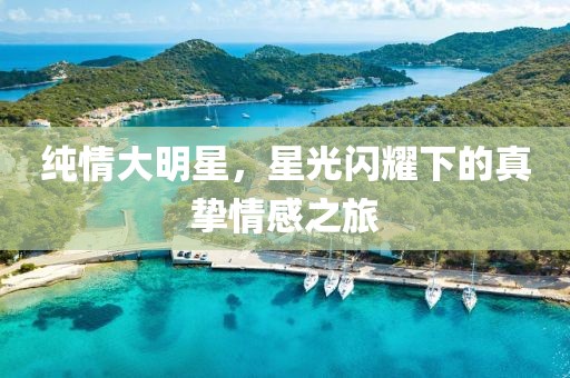 纯情大明星，星光闪耀下的真挚情感之旅