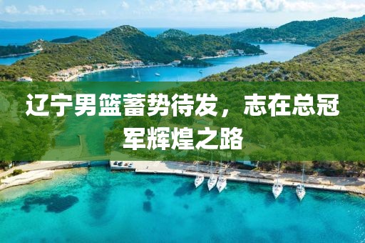 辽宁男篮蓄势待发，志在总冠军辉煌之路