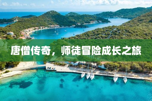 唐僧传奇，师徒冒险成长之旅