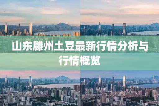 山东滕州土豆最新行情分析与行情概览
