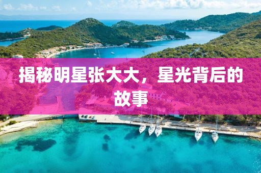揭秘明星张大大，星光背后的故事