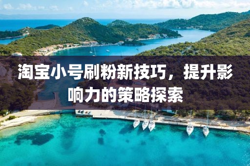 淘宝小号刷粉新技巧，提升影响力的策略探索