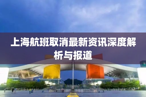 上海航班取消最新资讯深度解析与报道