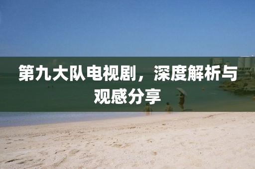 第九大队电视剧，深度解析与观感分享