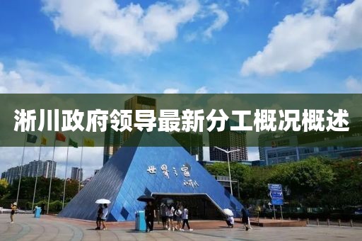 淅川政府领导最新分工概况概述