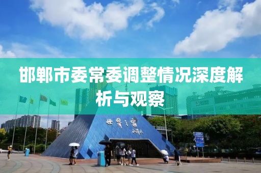 邯郸市委常委调整情况深度解析与观察
