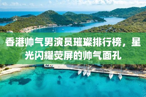 香港帅气男演员璀璨排行榜，星光闪耀荧屏的帅气面孔