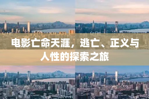 电影亡命天涯，逃亡、正义与人性的探索之旅