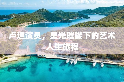 卢迪演员，星光璀璨下的艺术人生旅程