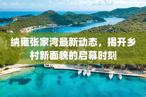 纳雍张家湾最新动态，揭开乡村新面貌的启幕时刻