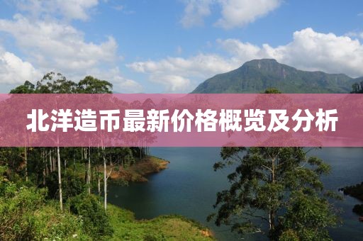 北洋造币最新价格概览及分析