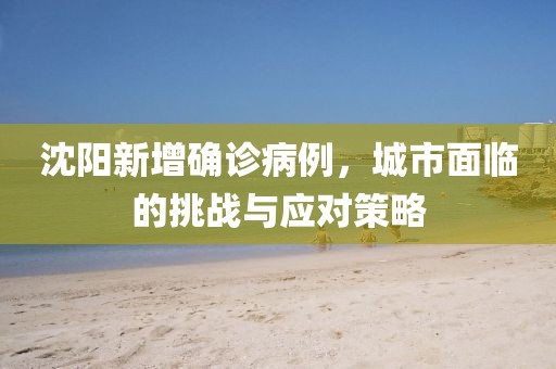 沈阳新增确诊病例，城市面临的挑战与应对策略