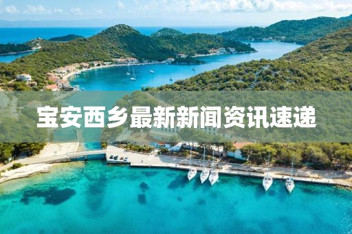 宝安西乡最新新闻资讯速递