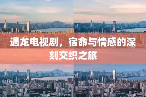 遇龙电视剧，宿命与情感的深刻交织之旅