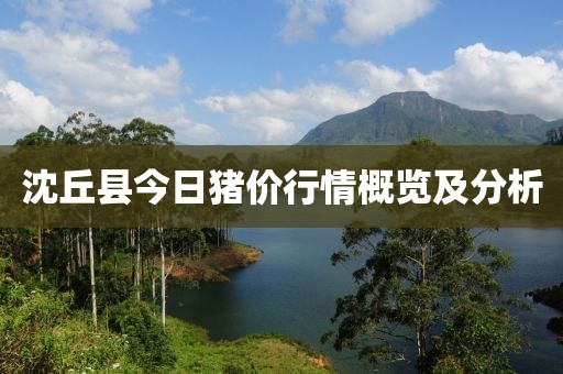 沈丘县今日猪价行情概览及分析