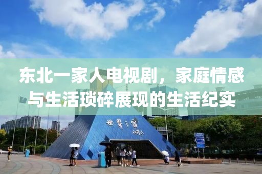 东北一家人电视剧，家庭情感与生活琐碎展现的生活纪实