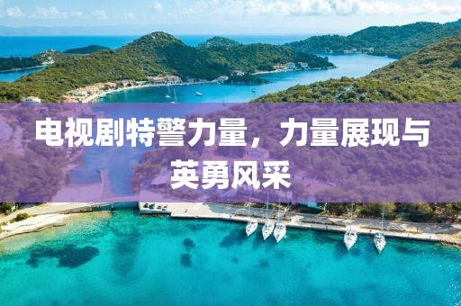 电视剧特警力量，力量展现与英勇风采