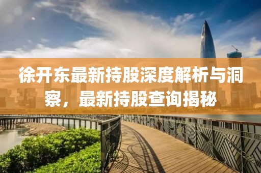 徐开东最新持股深度解析与洞察，最新持股查询揭秘