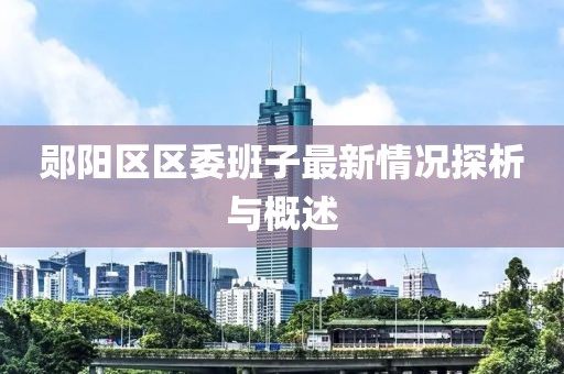 郧阳区区委班子最新情况探析与概述
