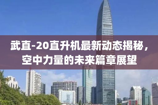 武直-20直升机最新动态揭秘，空中力量的未来篇章展望