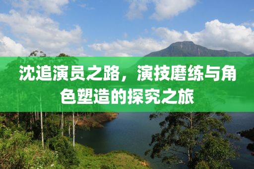 沈追演员之路，演技磨练与角色塑造的探究之旅